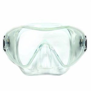 Apollo Phantom Frameless Mask | Clear