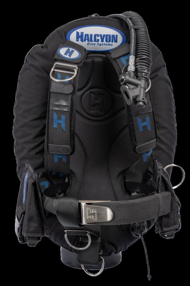 Infinity 30-lb BC System w/ small AL backplate - Click Image to Close