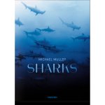 Sharks