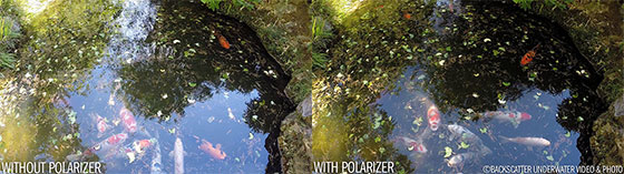 Flip GoPro Polarizer With and Without Pond