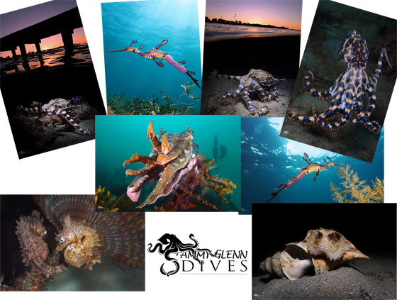 Underwater Photographic Prints