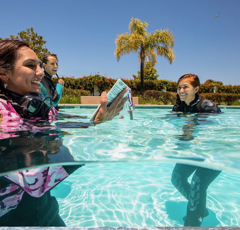 TRAINING and GUIDED Diving