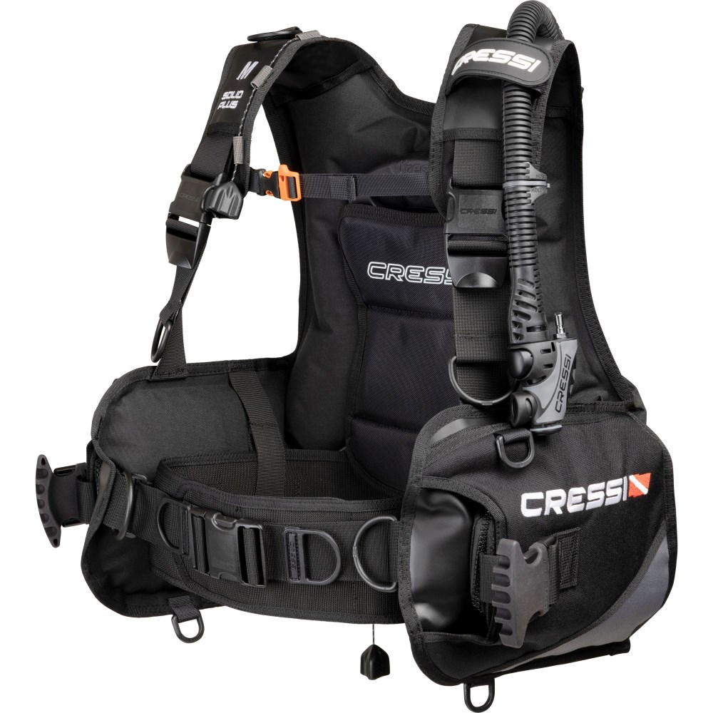 Solid Plus BCD - L - Click Image to Close