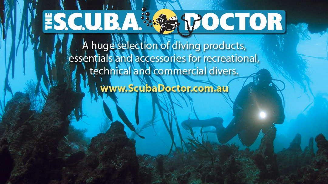 Scuba Diving 2" 50mm Harness Webbing Weight Belt Custom Length Yellow Blue Black