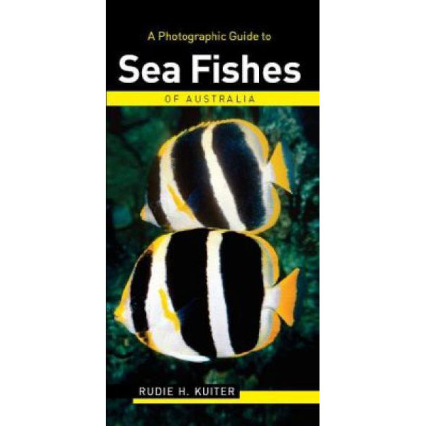 A Photographic Guide To Sea Fishes Of Australia - Click Image to Close