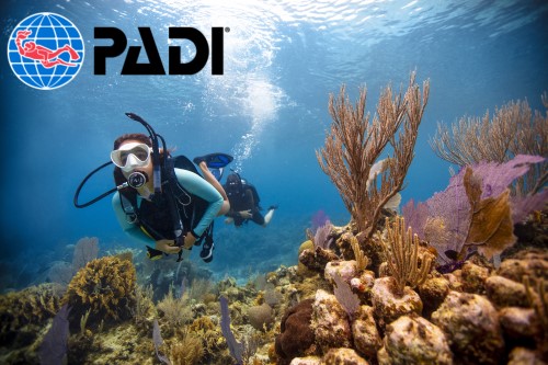 PADI Open Water Diver - SCHEDULED GROUP