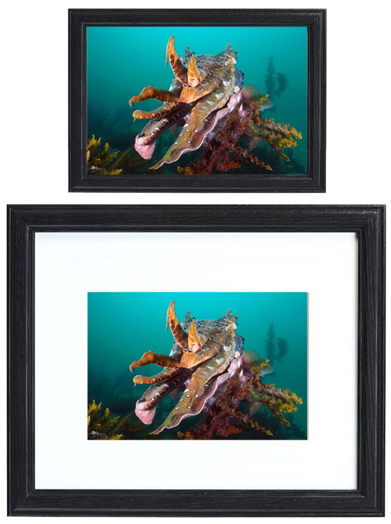 Example landscape print framing