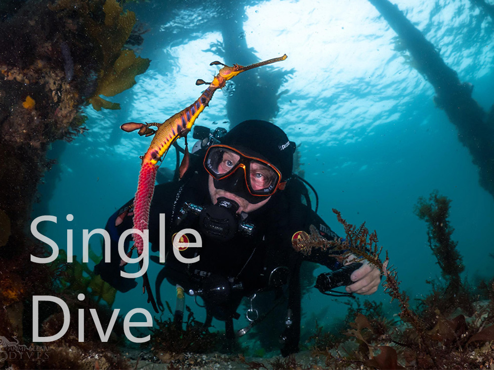 Discover Local Diving - Single Guided Shore Dive