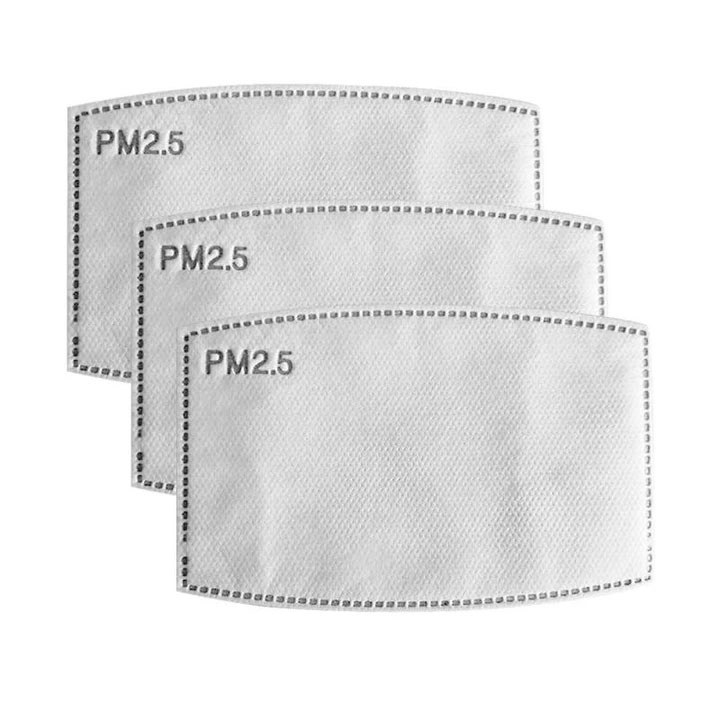 Sharkskin Envirus PM2.5 Filter 10 Pack - Click Image to Close