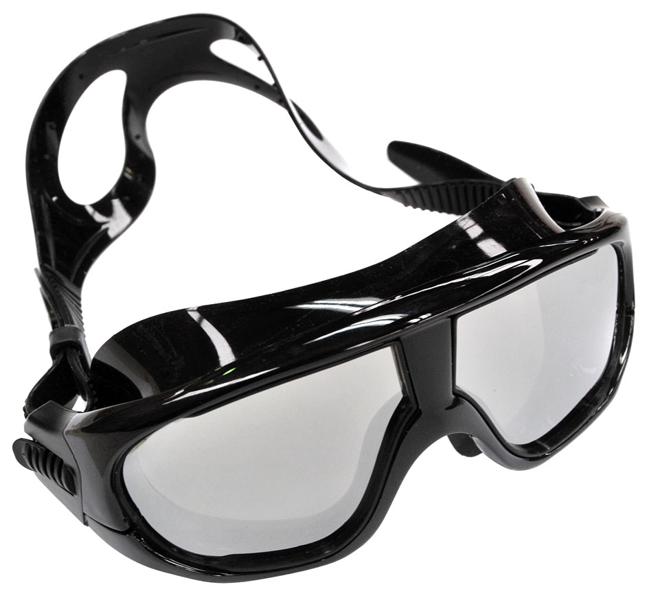 Sonar Sea Lion Mirror Black Goggles - Click Image to Close