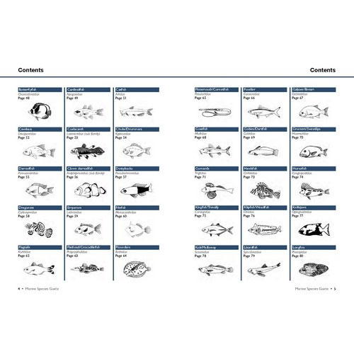 Marine Species Guide