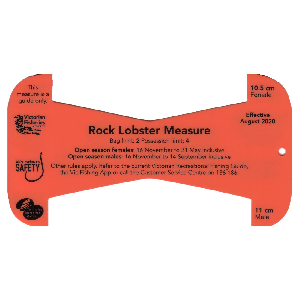 VFA Rock Lobster Measure - Click Image to Close